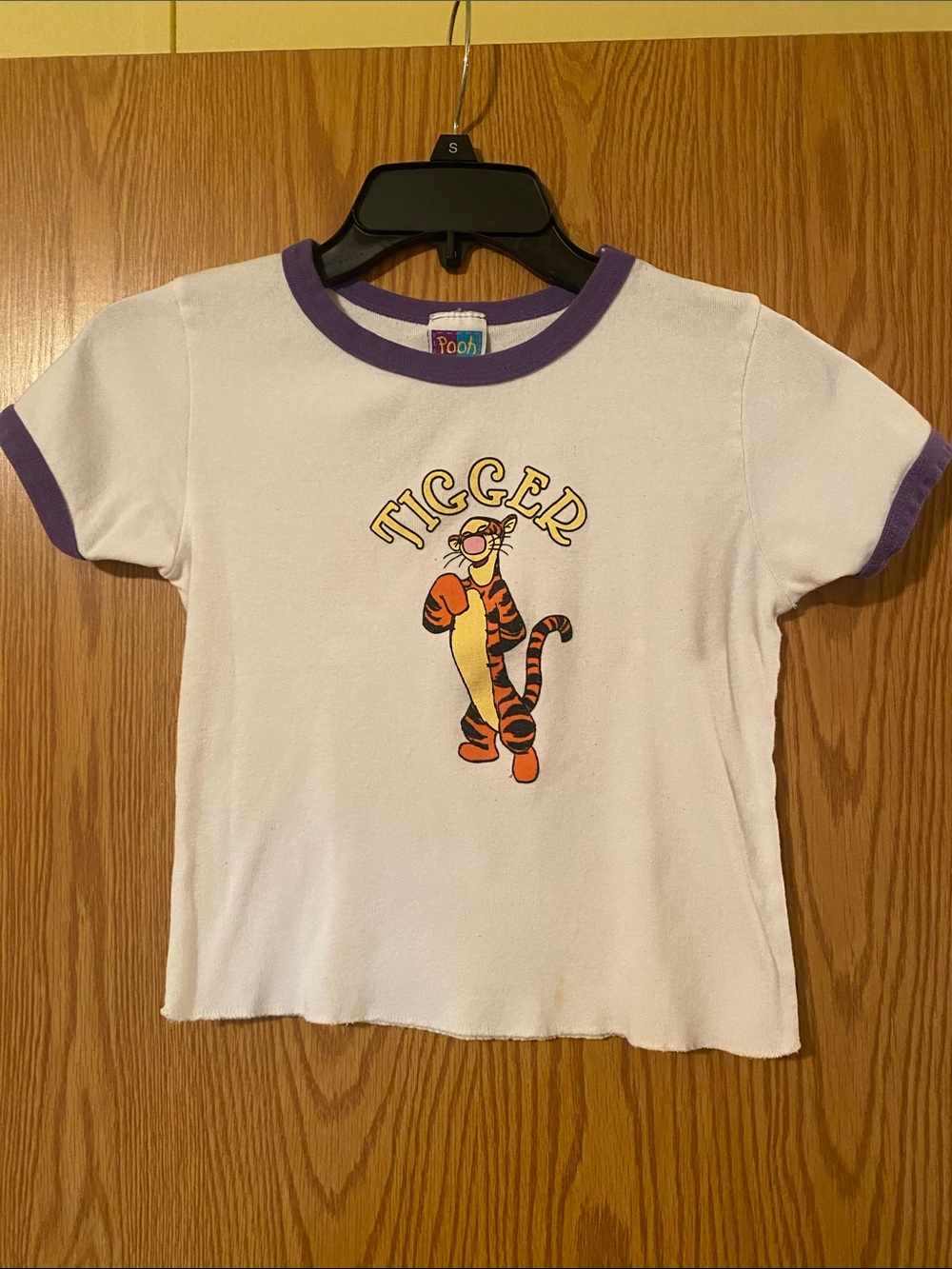 Pooh Tigger Graphic Short Sleeve Tee in White with Purple Trim